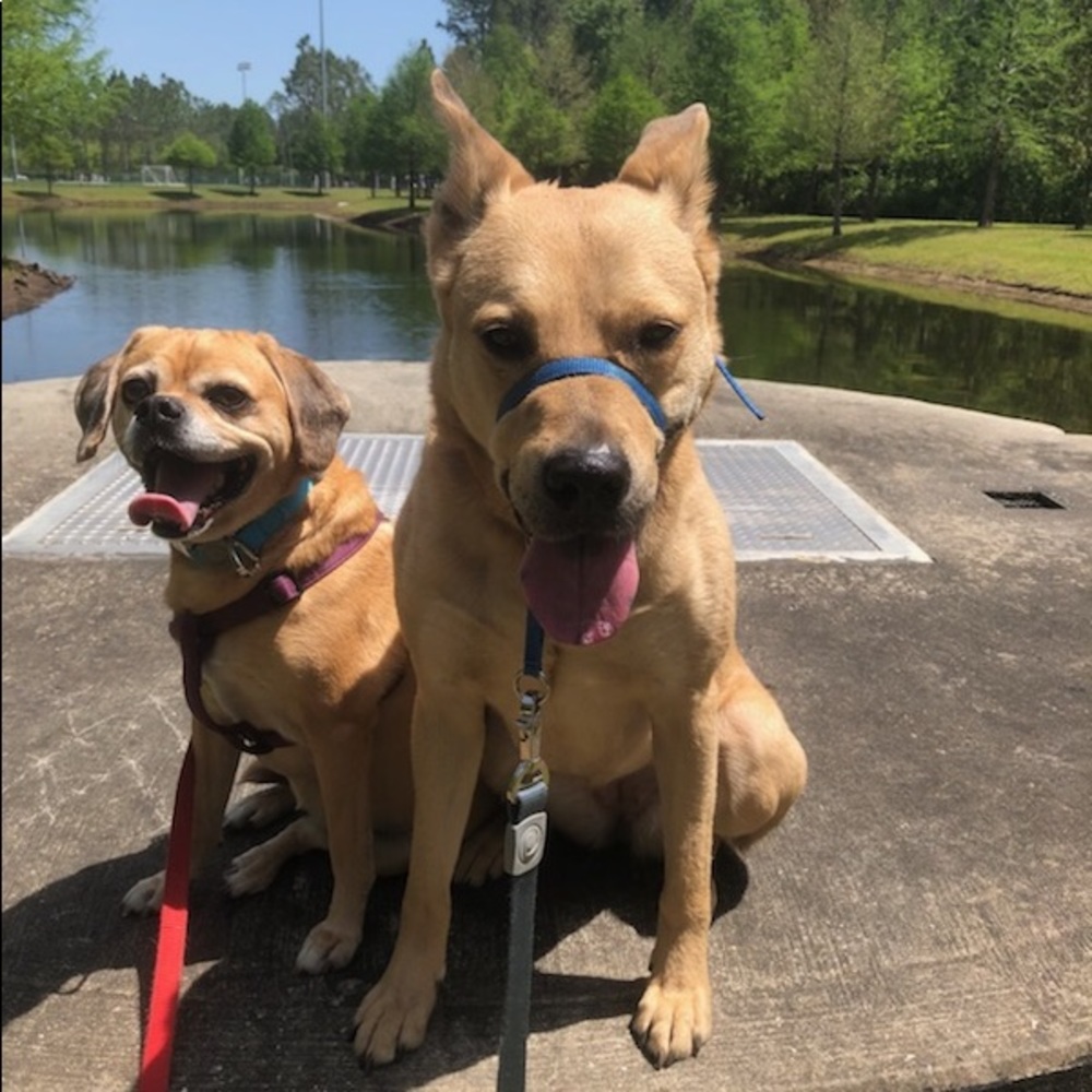 Meet your Posher, Evin